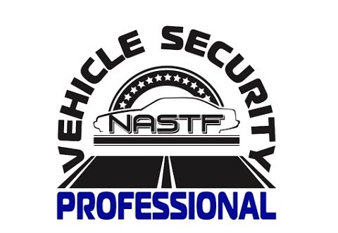 vehicle security professional logo (1)